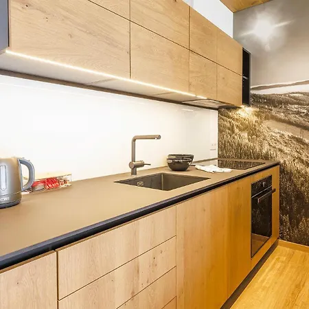 Vista Apartments Dolni Morava Exterior photo