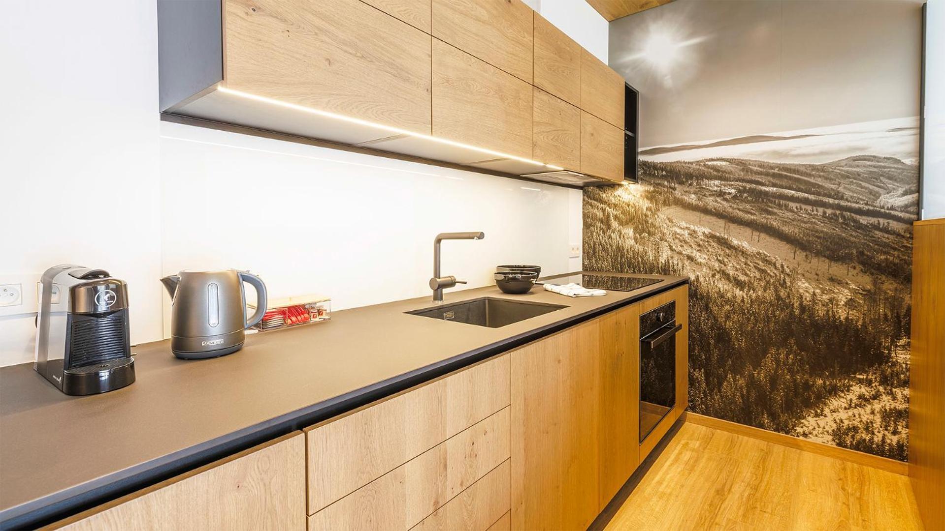 Vista Apartment Dolni Morava